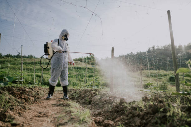 Best Best Pest Control Companies  in Mapleton, IA