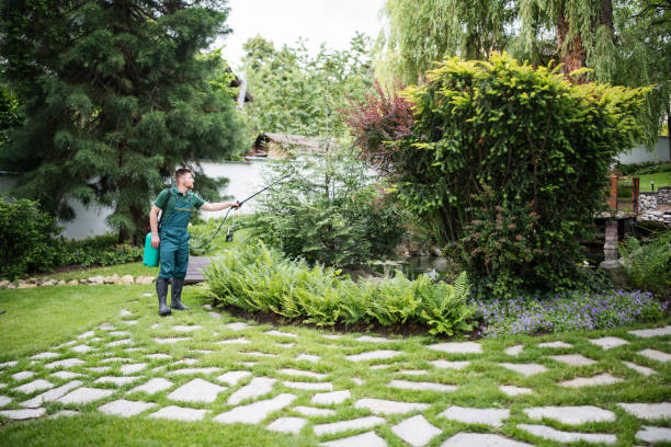 Best Ant Control Services  in Mapleton, IA