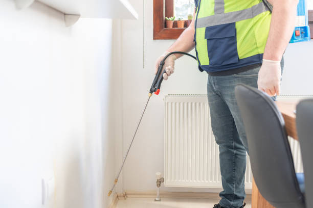 Best Local Pest Control Services  in Mapleton, IA
