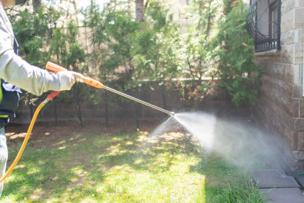 Best Commercial Pest Control Services  in Mapleton, IA